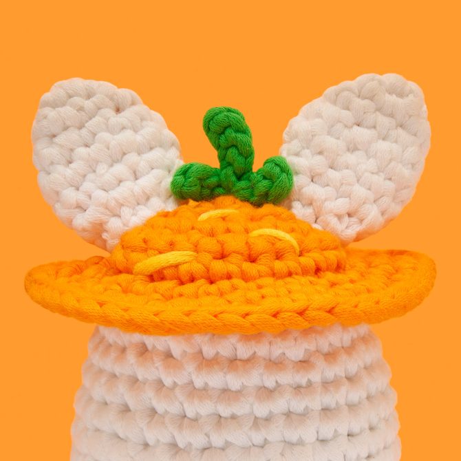 Carrot Top Bundle - Image 4