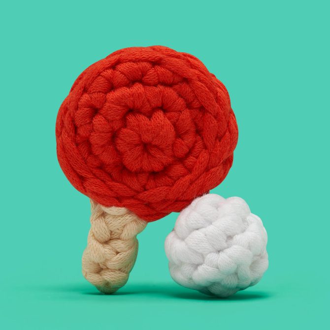 Keep Your Eye on the Woo-ball Bundle - Image 8