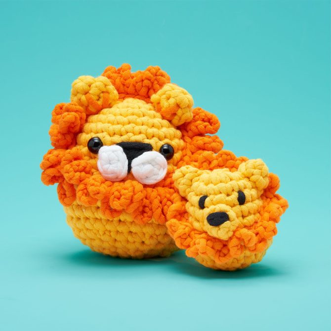 Lil' Lion Accessory Kit - Image 2